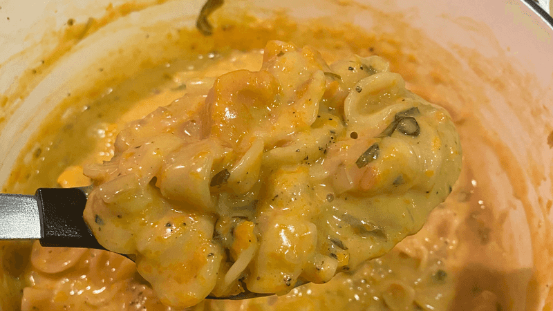 photo of completed recipe: Pros: Quick & one pot - done in <40 minutes Squash flavor really came through Pretty well balanced - the briny kimchi is nice